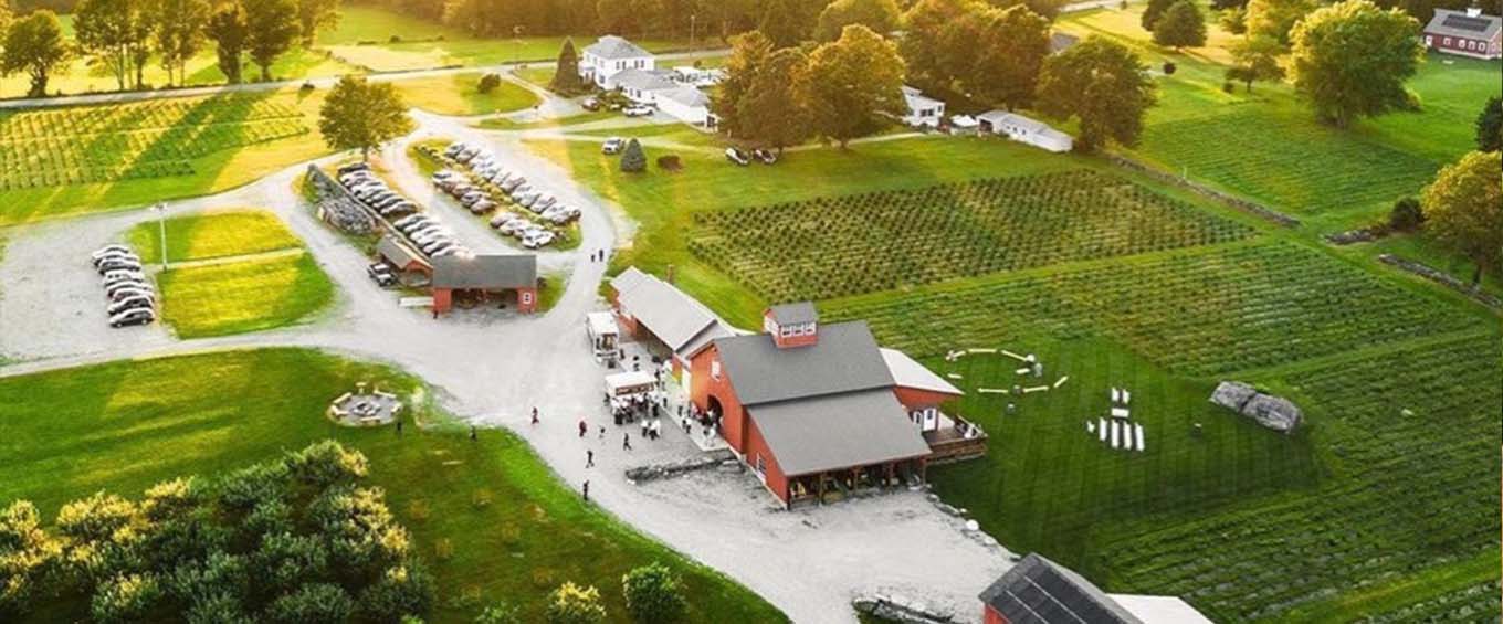 The Best Christmas Tree Farms in Eastern Connecticut CTvisit